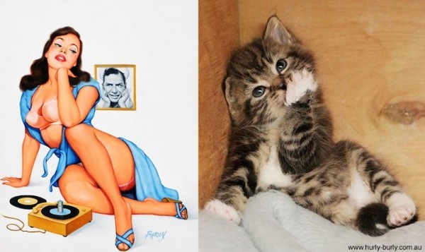 gatos-pin-ups-1