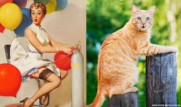 gatos-pin-ups-2