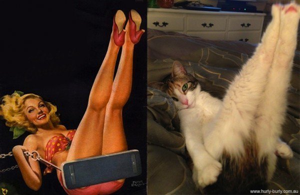 gatos-pin-ups-3