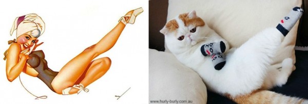 gatos-pin-ups-4