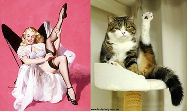 gatos-pin-ups-6