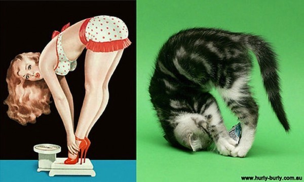 gatos-pin-ups-7