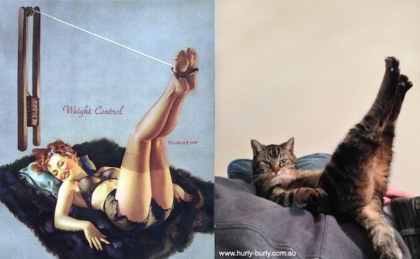 gatos-pin-ups-11