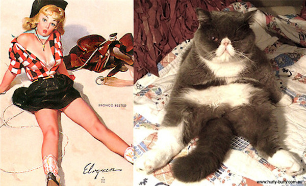 gatos-pin-ups-12