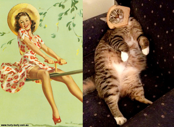 gatos-pin-ups-13