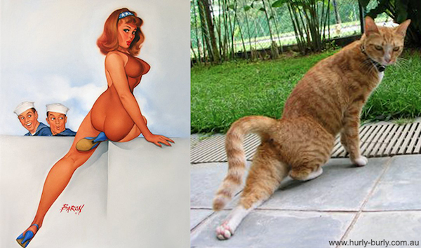 gatos-pin-ups-17