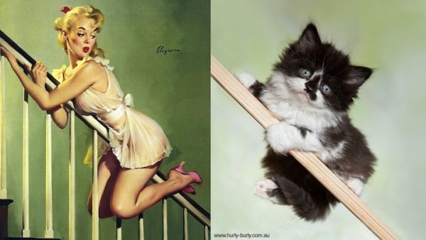 gatos-pin-ups-20