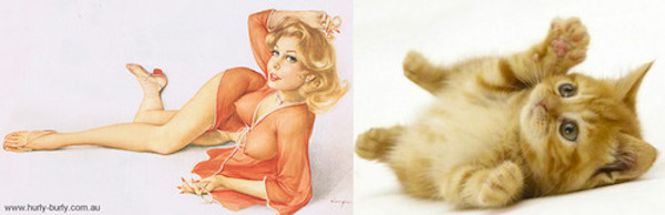 gatos-pin-ups-21