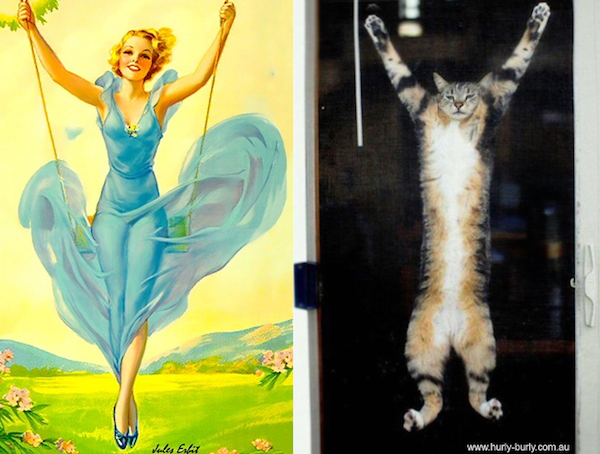 gatos-pin-ups-22