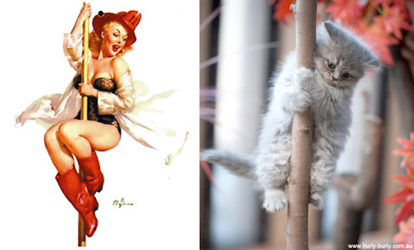 gatos-pin-ups-23