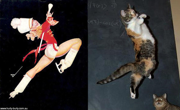 gatos-pin-ups-27