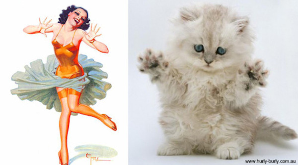 gatos-pin-ups-28