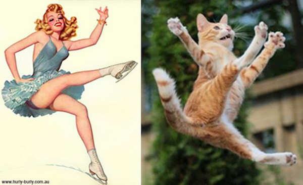 gatos-pin-ups-30