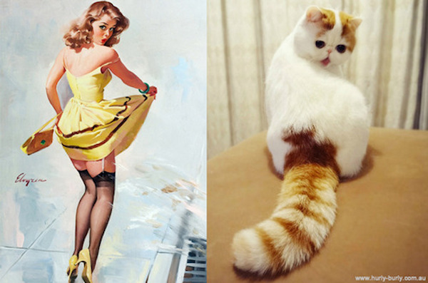 gatos-pin-ups-32