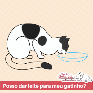 Posso dar leite para meu gatinho? Imagem de ilustração