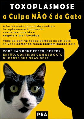 Banner educativo sobre gatos e toxoplasmose