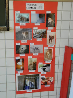 Mural de fotos de cães e gatos de alunos do ensino fundamental