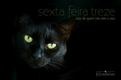 Gato preto, azar de quem não tem o seu. Campanha da Fofuras Felinas, na sexta-feira, 13