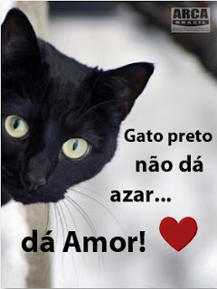 Gato preto não dá azar; dá amor. Campanha da Arca Brasil