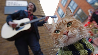 O cantor James Bowen e o seu gato Bob nas ruas de Londres