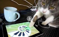 Gato brincando com jogos para iPad
