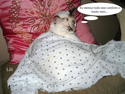 Gata Lili, enrolada no lençol, dorme no sofá da sala