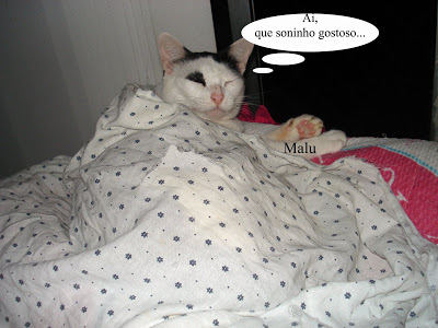 Gata Malu, enrolada no lençol, dorme no telhado da casinha para gatos