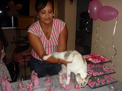 Gata Lili apagando a vela de aniversário