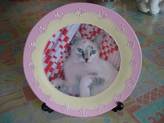 Prato decorativo com a foto da Gata Lili estampada