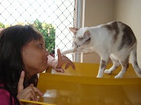 Renata Góes conversando com sua Gata Lili